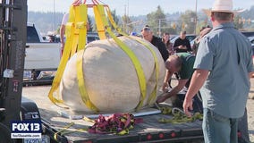 Giant Pumpkin Weigh-off returns to Kent, crowns 2,088-pound winner