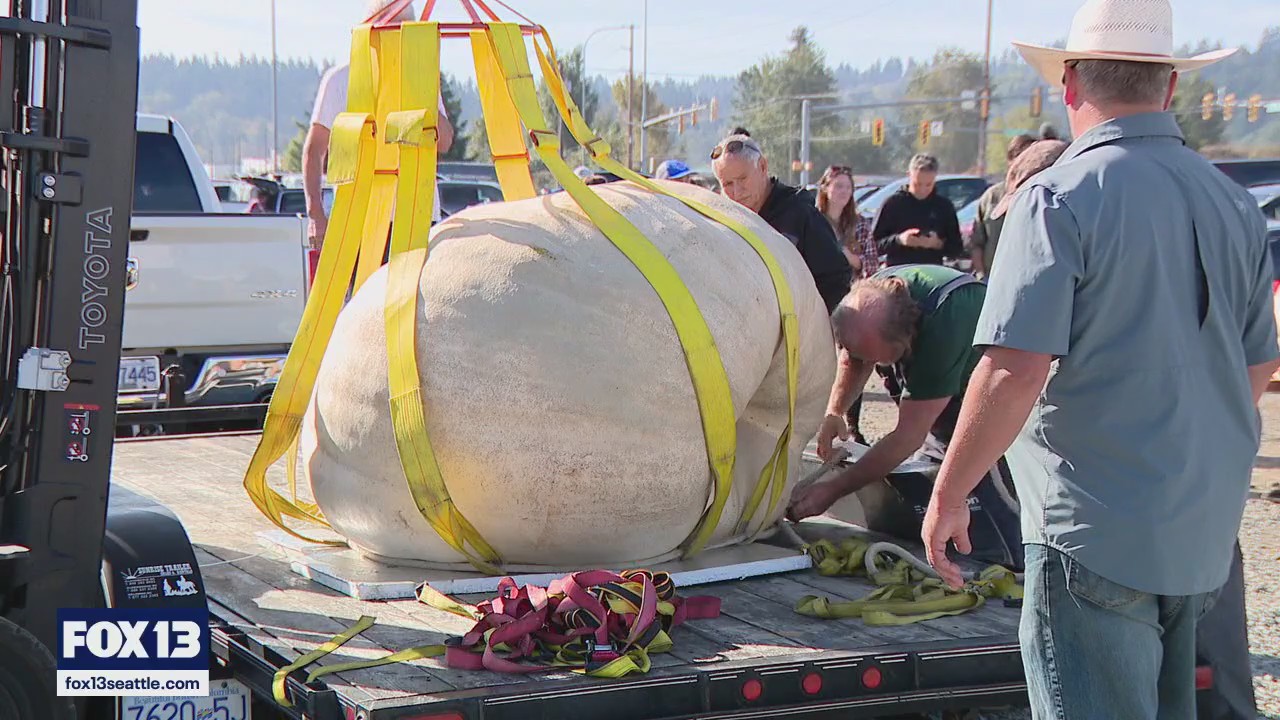 Giant Pumpkin Weigh-off returns to Kent, crowns 2,088-pound winner