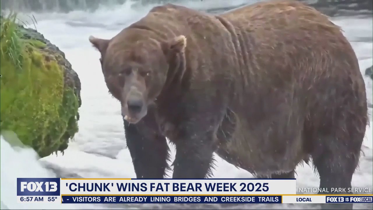 'Chunk' wins Fat Bear Week 2025