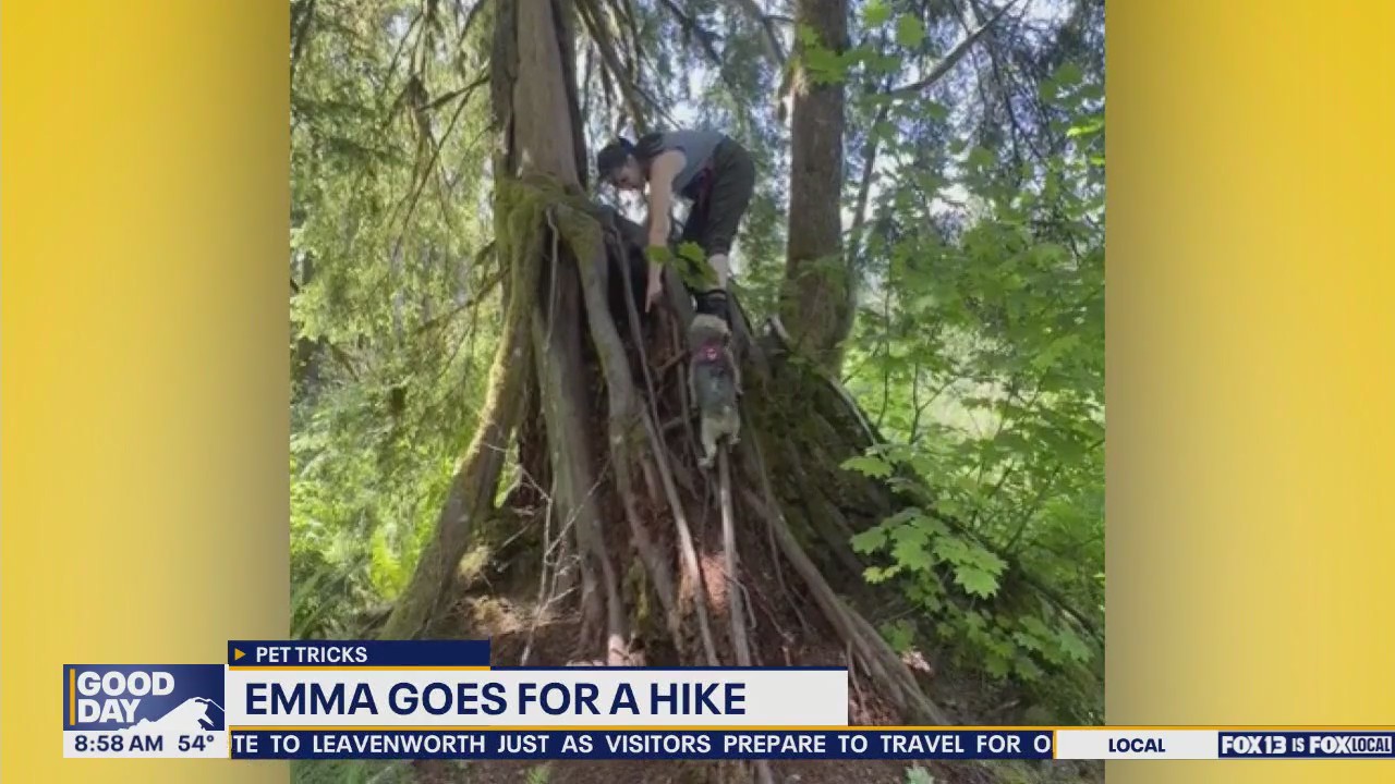 Pet Tricks for Tuesday, September 30