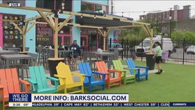 Dog-friendly club opens in Manayunk Monday