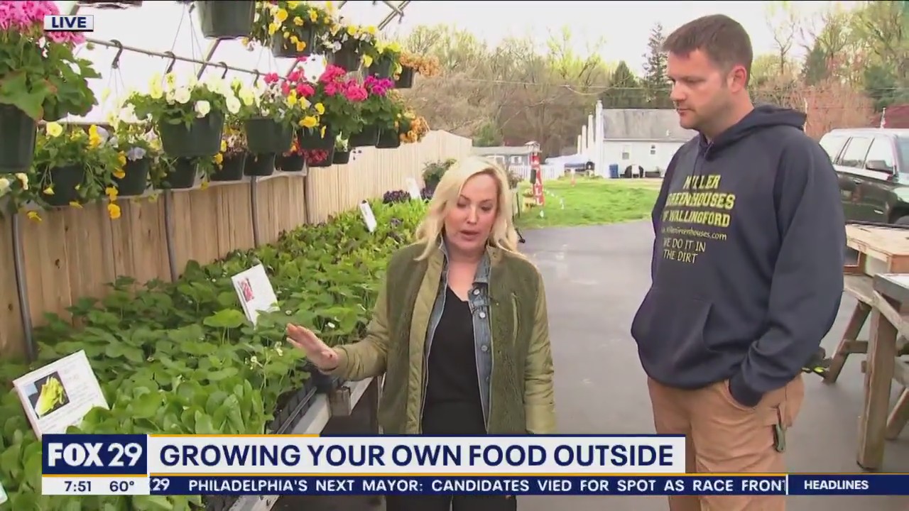 Setting up your outdoor plant lineup as seasons change