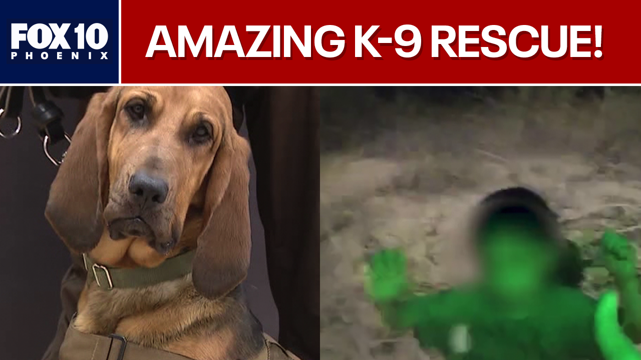 K-9 Piper finds missing boy in Arizona desert