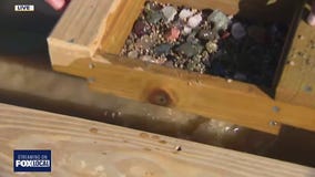 Zip Trips: Mining gems at Craven Farms