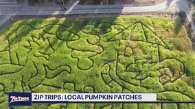 Zip Trips: Thomasson Family Farm in Enumclaw