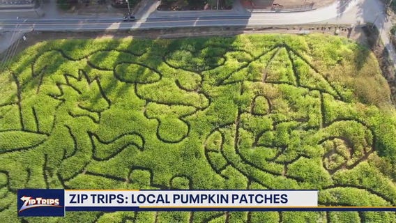 Zip Trips: Thomasson Family Farm in Enumclaw