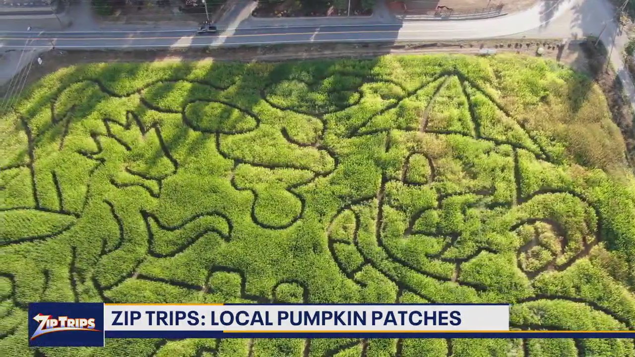 Zip Trips: Thomasson Family Farm in Enumclaw