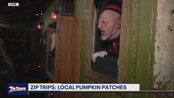 Zip Trips: 'Maris Resort' at Maris Farms