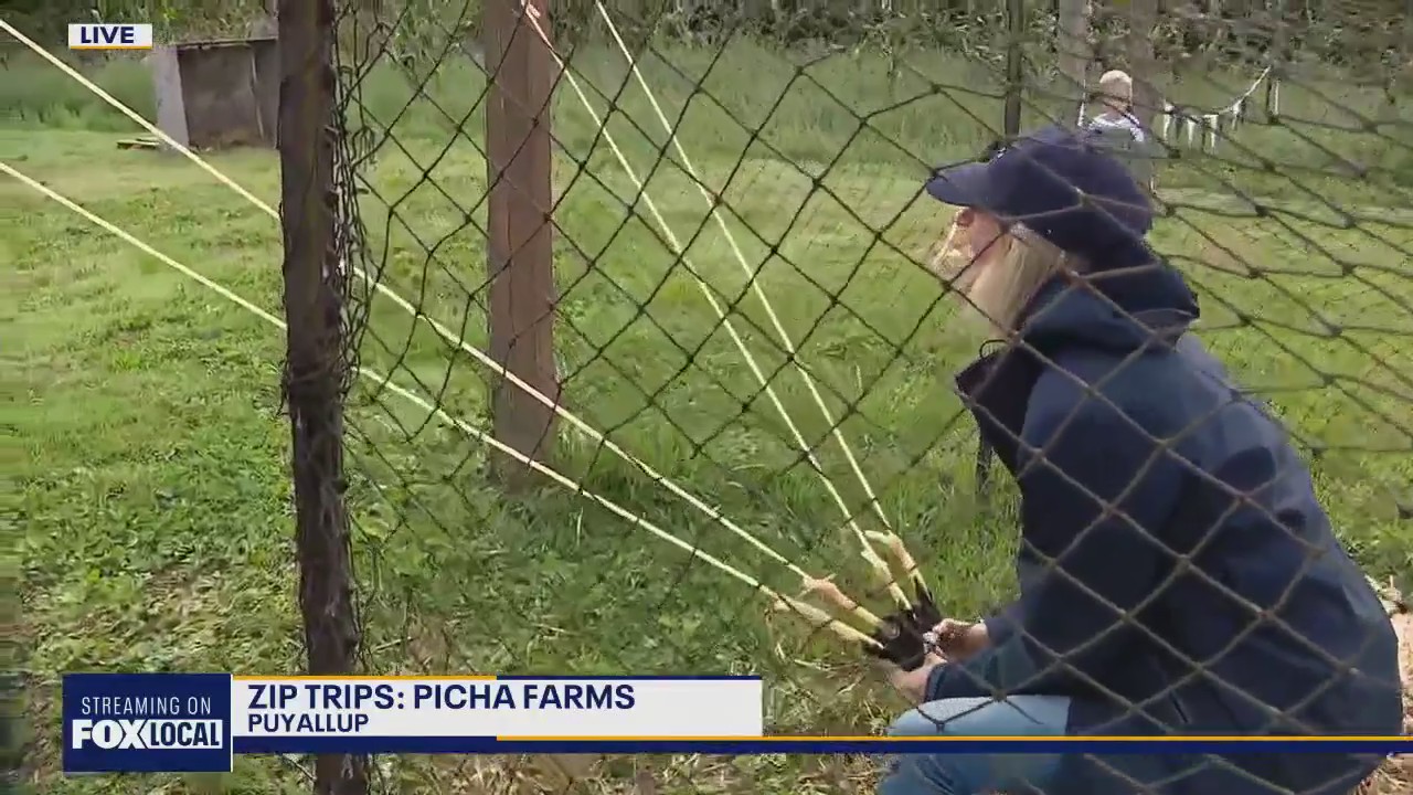 Zip Trips: Picha Farms in Puyallup