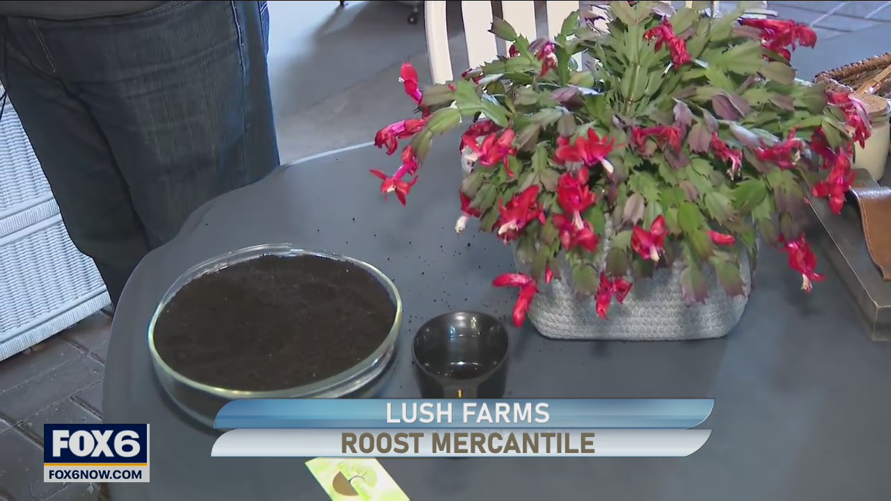 Vintage Hop Shop at Roost Mercantile