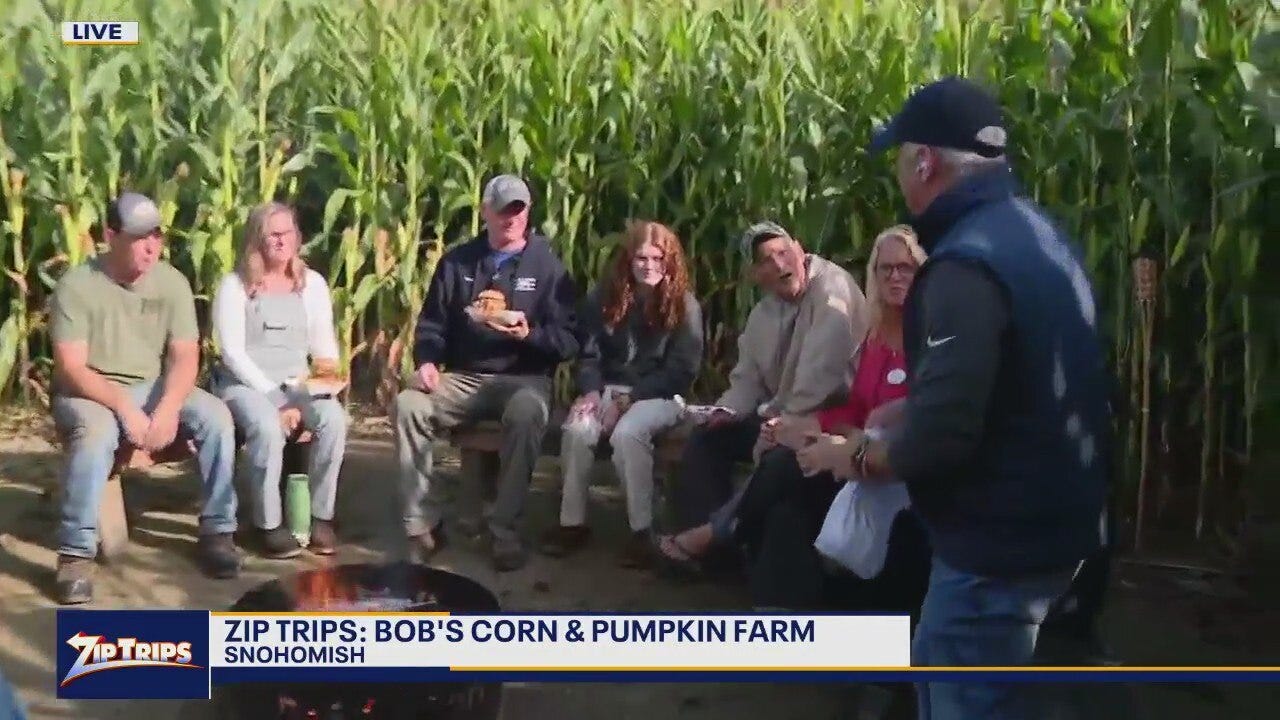 Zip Trips: Hanging out in the corn maze at Bob's Corn and Pumpkin Farm