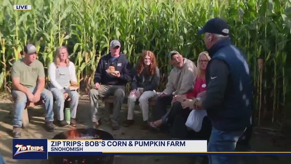 Zip Trips: Hanging out in the corn maze at Bob's Corn and Pumpkin Farm