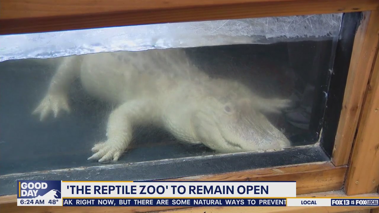 The Reptile Zoo in Monroe, WA to remain open