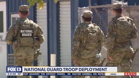 US National Guard troop deployment: Illinois sues Trump administration