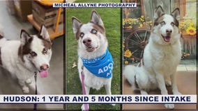 HALO waives fees for long-timer dogs