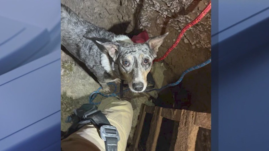 Arizona dog rescued from deep mine shaft