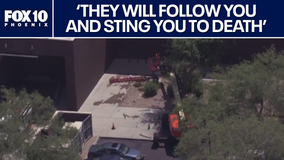 Victim killed in Scottsdale bee attack