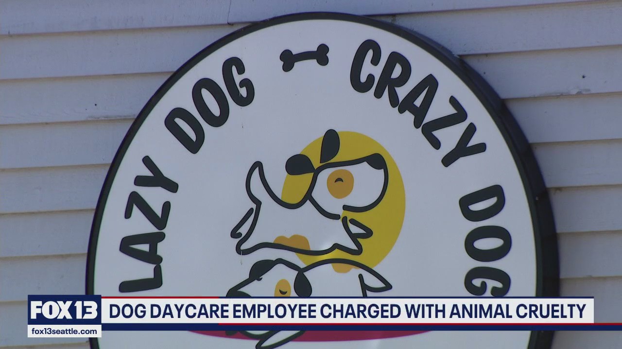 Dog Daycare Employee Charged with Animal Cruelty