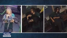 Dog daycare employee pleads not guilty in animal cruelty case