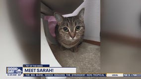 Pet of the Week: Sarah