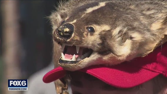 Badgers Fiserv Forum NCAA Tournament games home-court environment