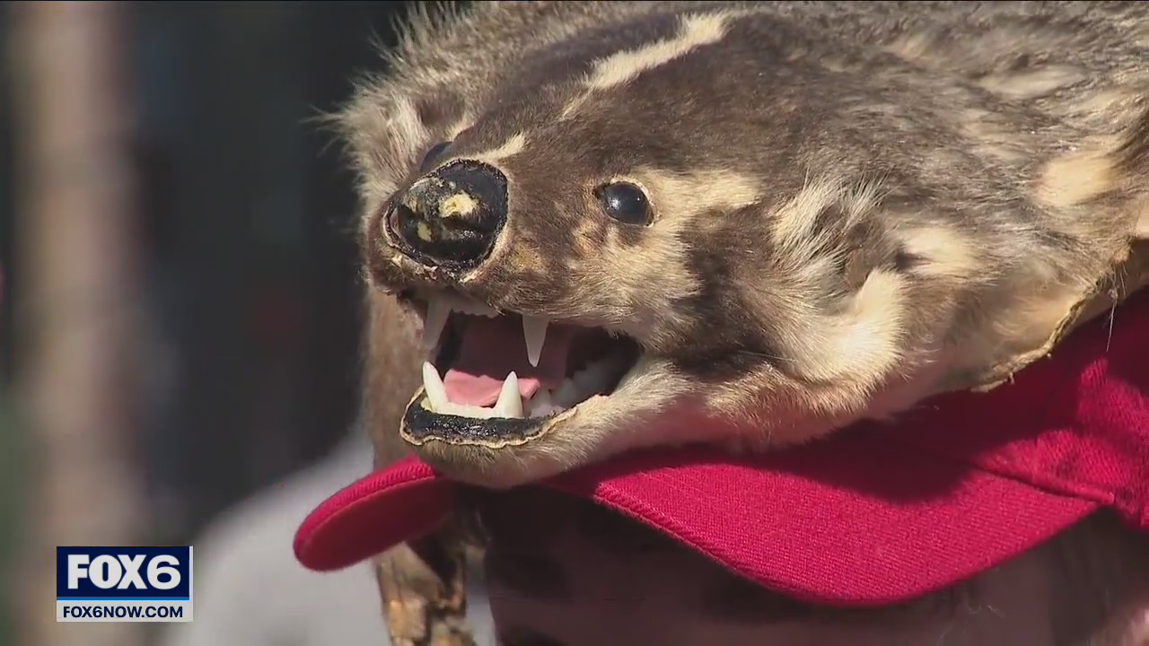 Badgers Fiserv Forum NCAA Tournament games home-court environment