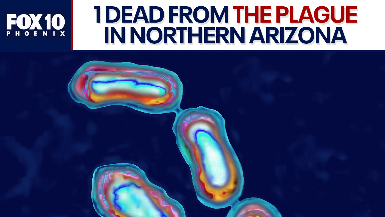 Person dies from the Plague in Northern Arizona