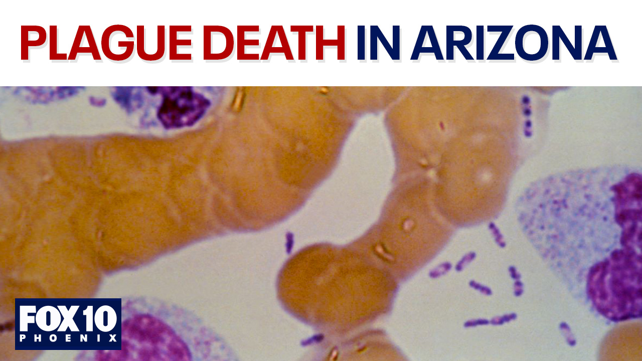 AZ person dies from the plague | FOX 10 Talks Saturday