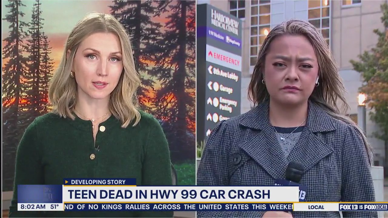 Car plunges 80 feet off HWY 99, killing teen in Seattle