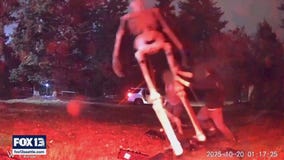Vandals target Halloween decorations in Auburn