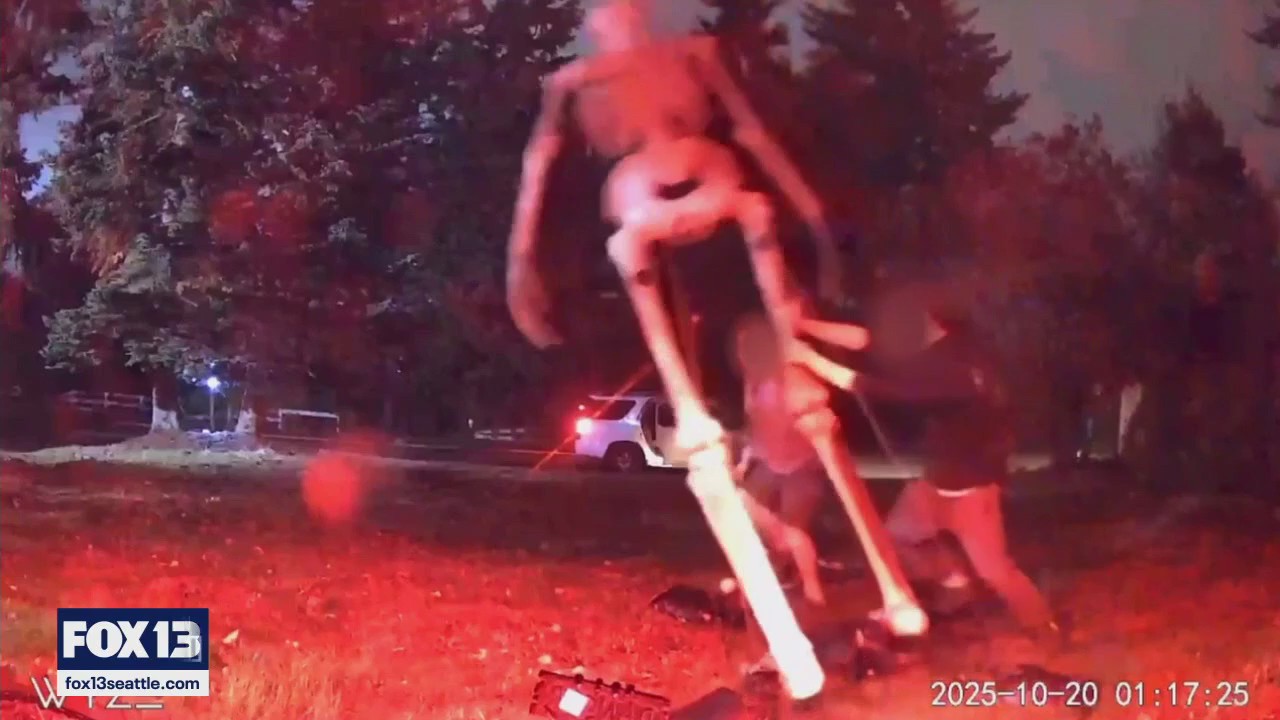 Vandals target Halloween decorations in Auburn