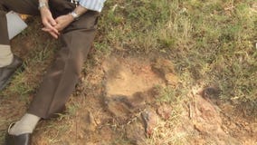 Remarkable dinosaur tracks discovered at NASA's Goddard Space Flight Center in Maryland