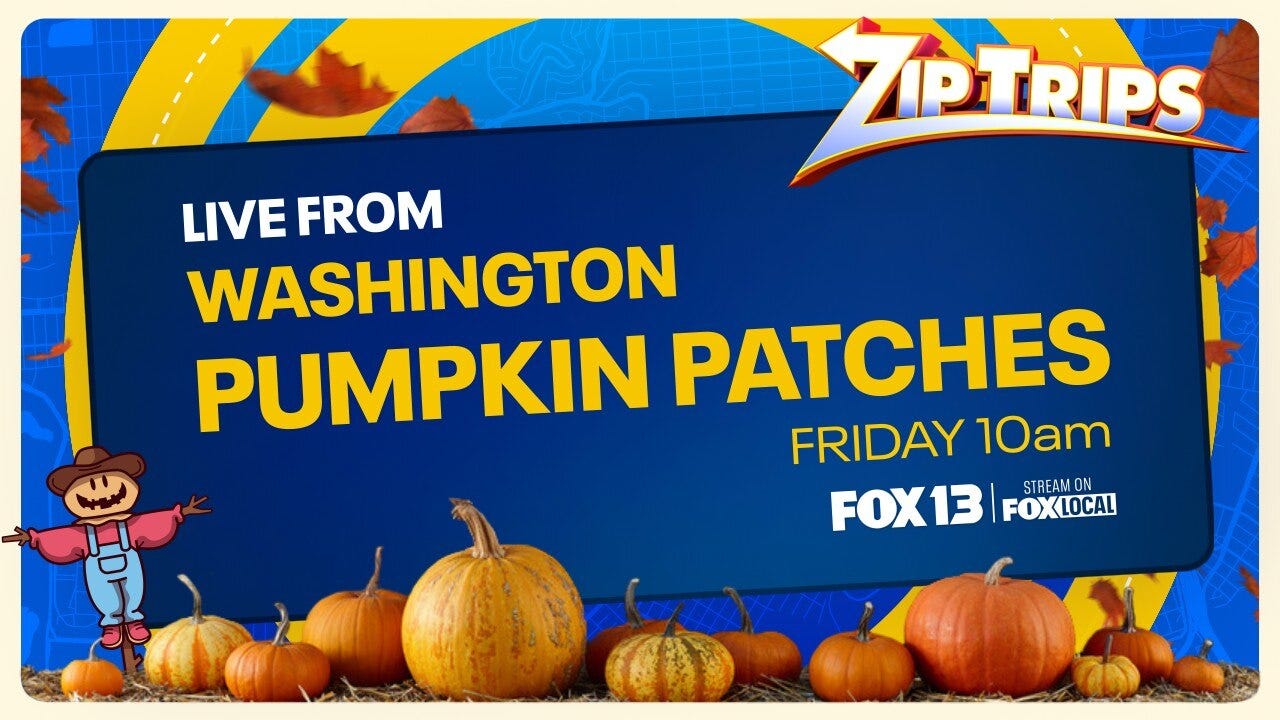 Zip Trips: Local Pumpkin Patches