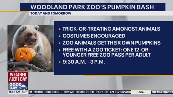 Woodland Park Zoo Pumpkin Bash Weekend