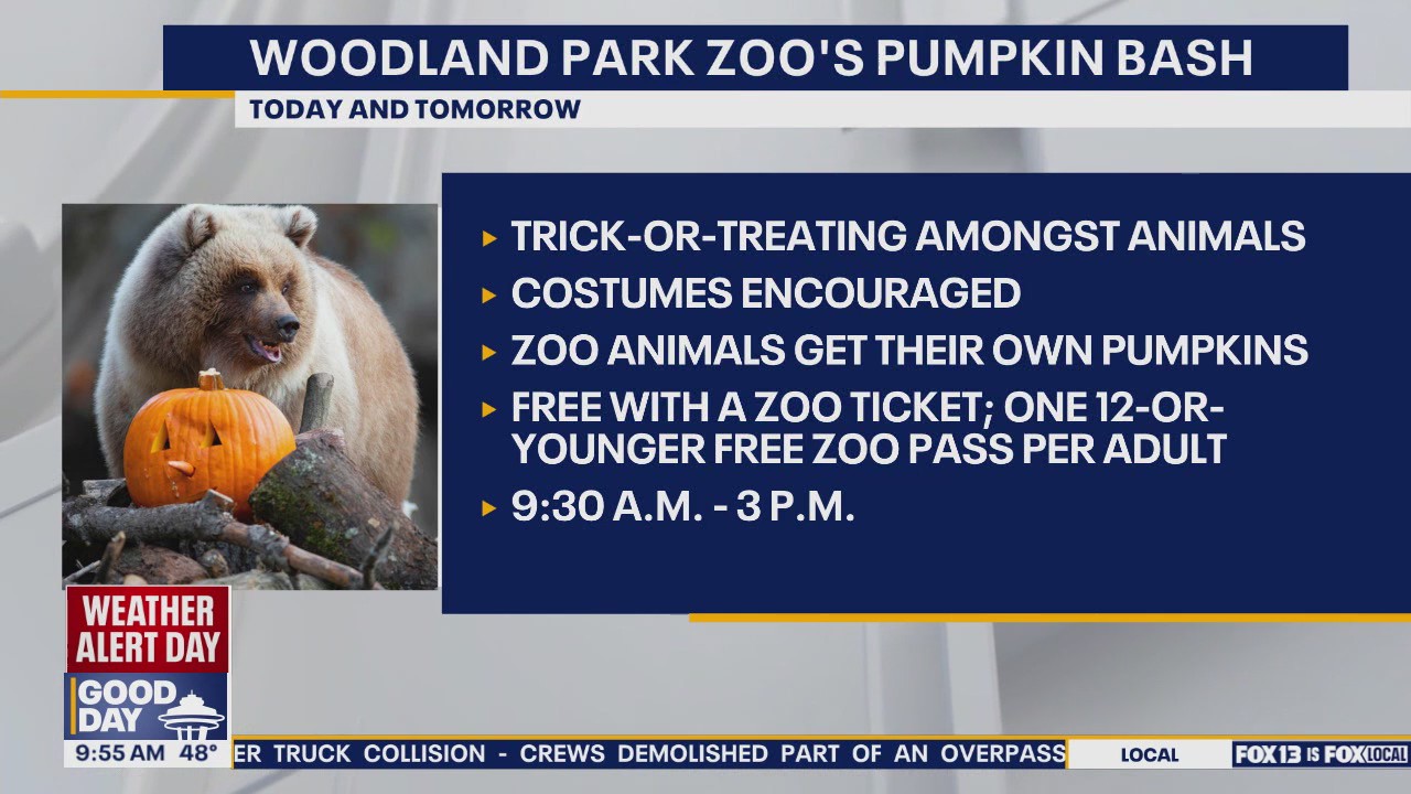 Woodland Park Zoo Pumpkin Bash Weekend
