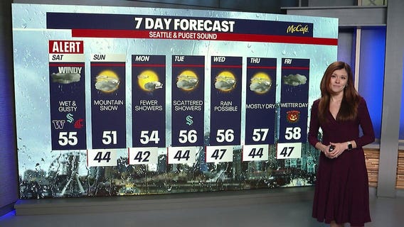 Seattle weather: wet and windy weekend ahead