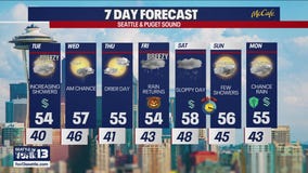 Seattle weather: drier night before more rain returns