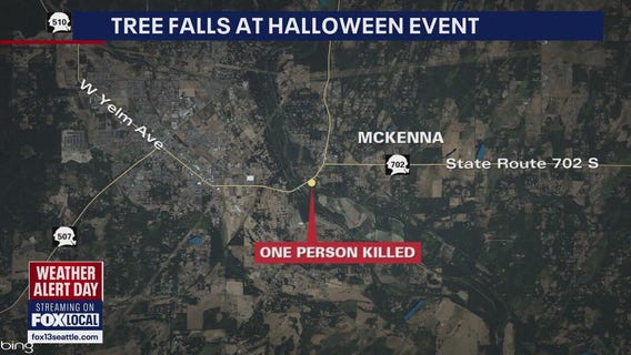 Deadly tree fall at Pierce County Halloween event kills 1, injures several