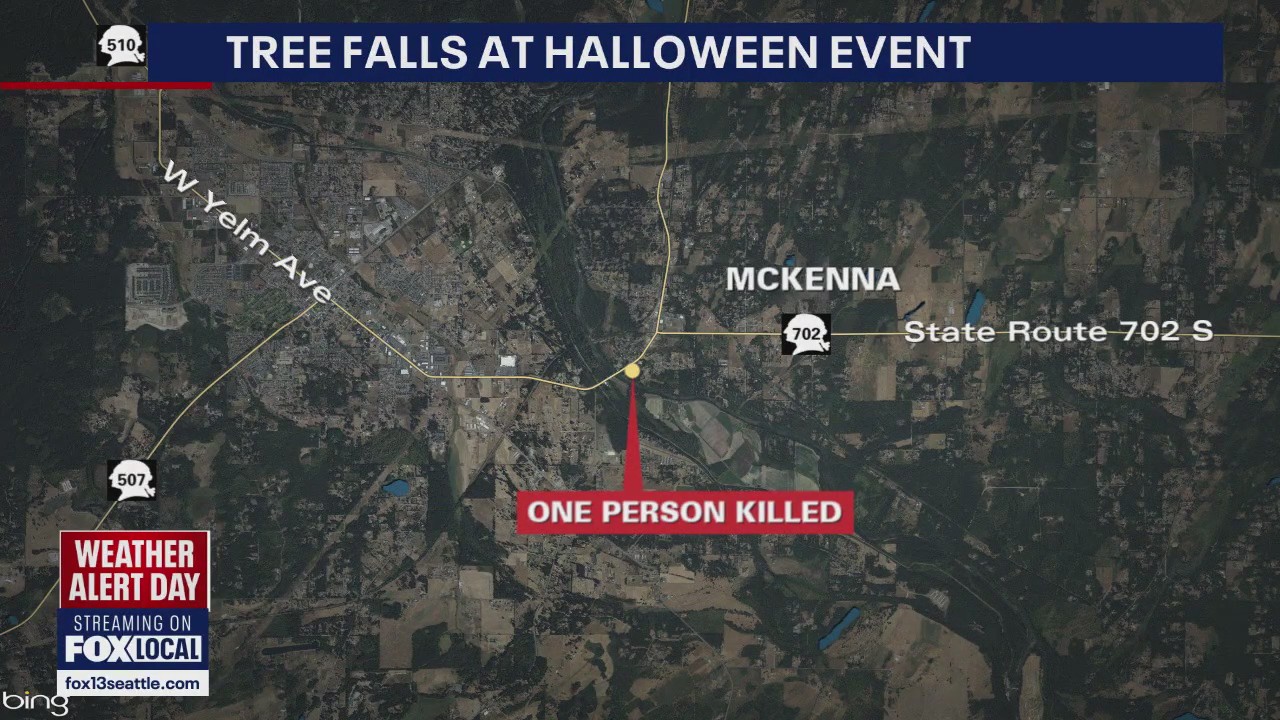 Deadly tree fall at Pierce County Halloween event kills 1, injures several