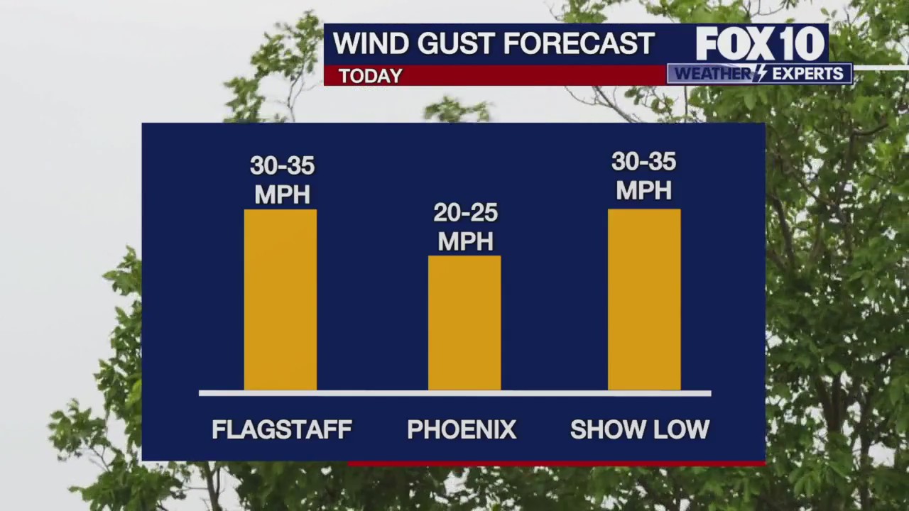 FOX 10 Weather & Weekly Planner - 6/17/25 | Weather and Whatever