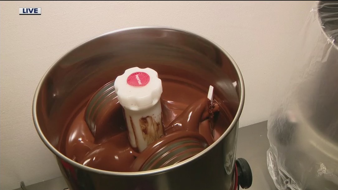 DNA Chocolate in Chandler | Made in Arizona