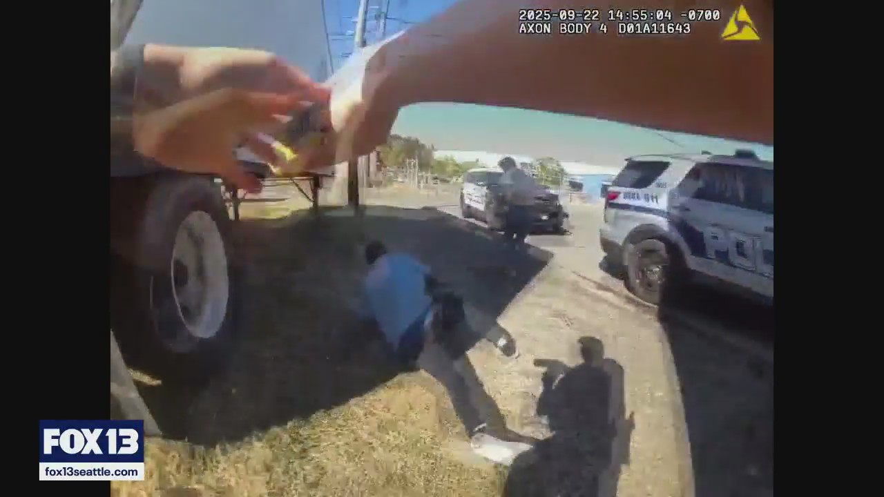Bodycam captures arrest of Kent serial domestic violence offender
