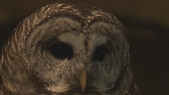 Schlitz Audubon Nature Center: 'Every single day there's something new'