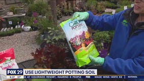 Container gardens: the perfect compact and controlled plant environment