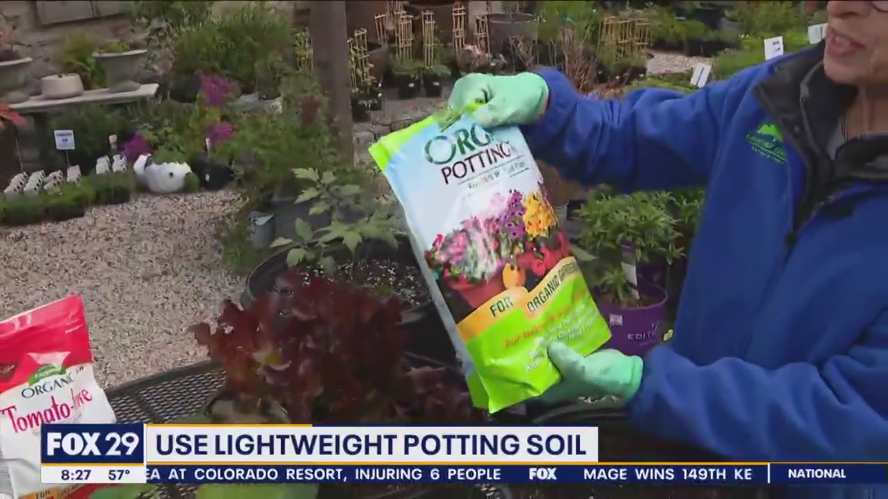 Container gardens: the perfect compact and controlled plant environment