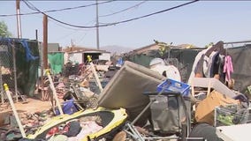 Animals moved from AZ home with filthy conditions