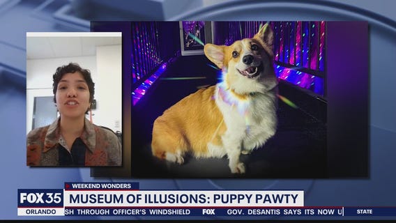Weekend Wonders: Museum of Illusions Orlando's Puppy Paw-ty