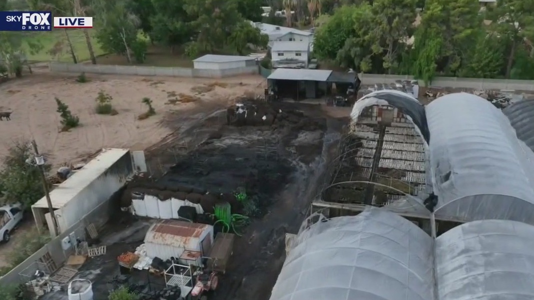Crews battle fire at Phoenix plant nursery | FOX 10 Phoenix