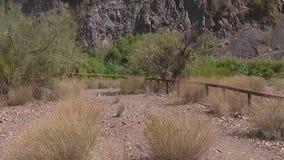 Missing fisherman found dead at Salt River