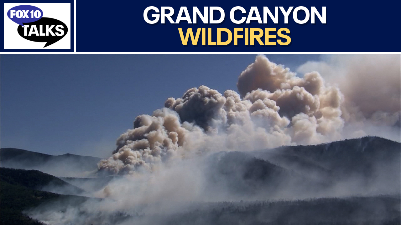 Alleged cheaters at Coldplay concert l FOX 10 Talks